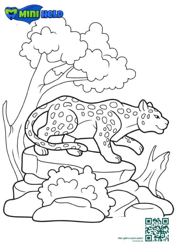 Vorschau: Tiere 26