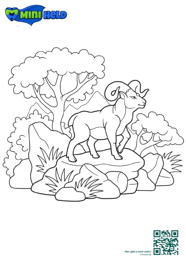 Vorschau: Tiere 34