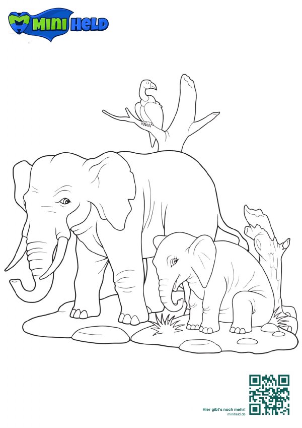 Vorschau: Tiere 7