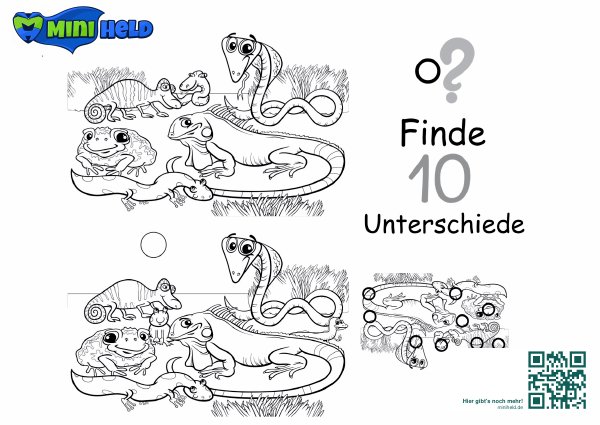 Beispielvorlage zum Thema Finde den Unterschied