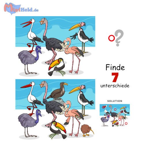Vorschau: Unterschiede finden 3