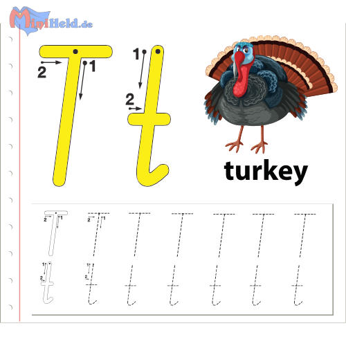 Vorschau: Schreibschrift T